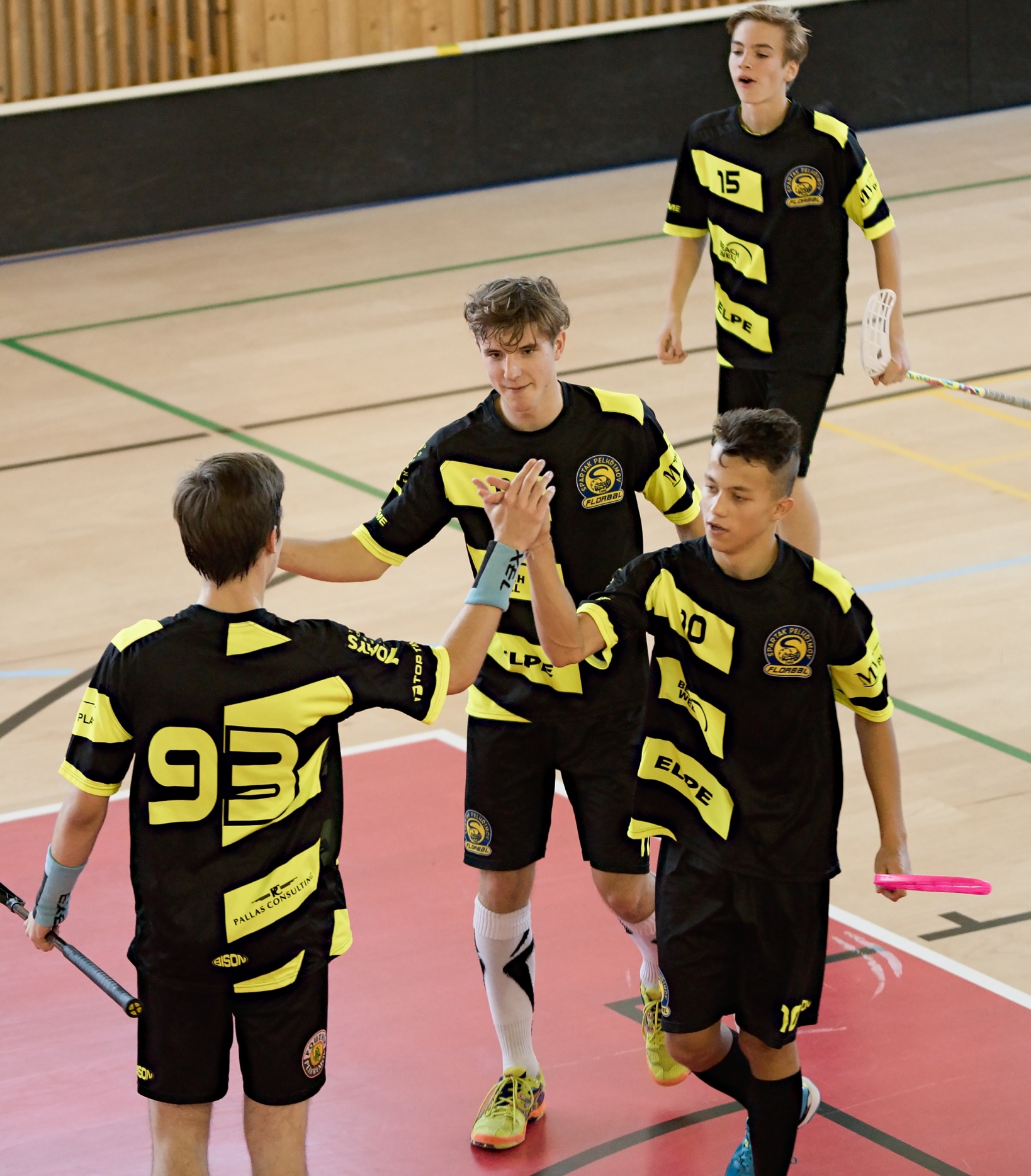 JunciLedec241015 169